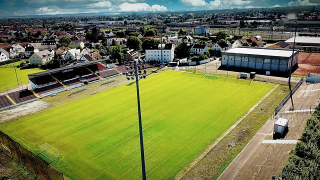 到真正的巅 到真正的巅