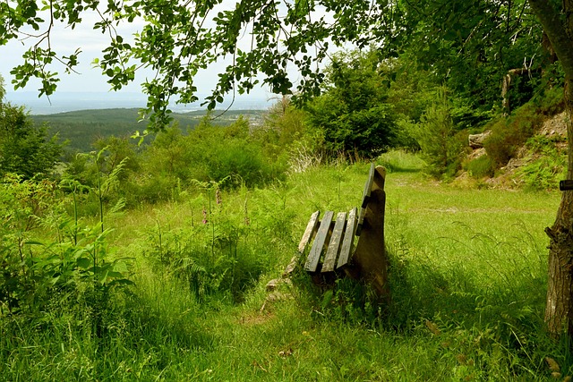 实际案例解 实际案例解
